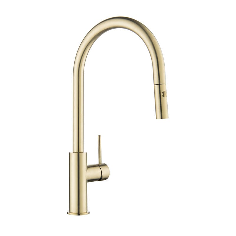 Clio Pull Out Kitchen Sink Mixer Tap with Spray Brushed Gold Tapware Arova