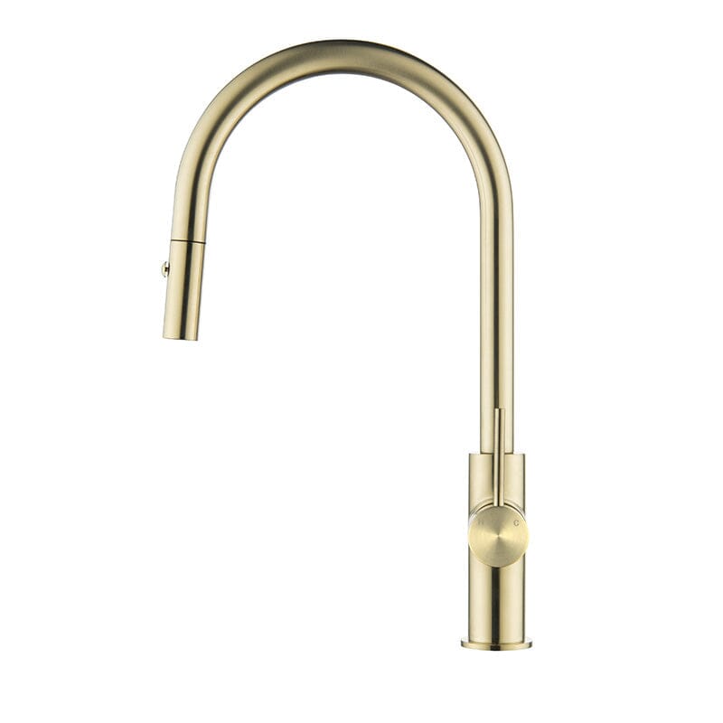 Clio Pull Out Kitchen Sink Mixer Tap with Spray Brushed Gold Tapware Arova