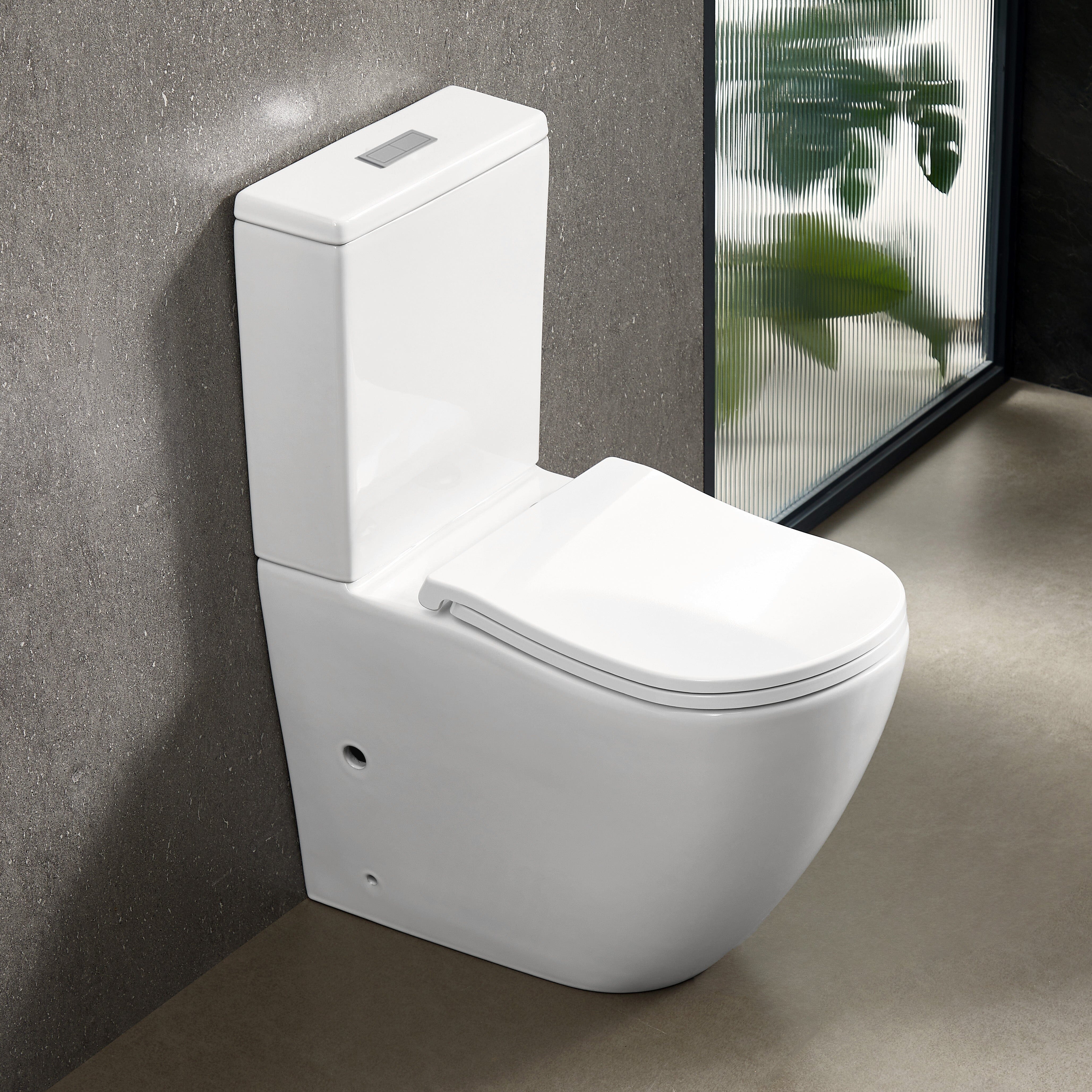 ErgoFlow Curve67 Rimless Tornado Back To Wall Toilet Toilets Arova