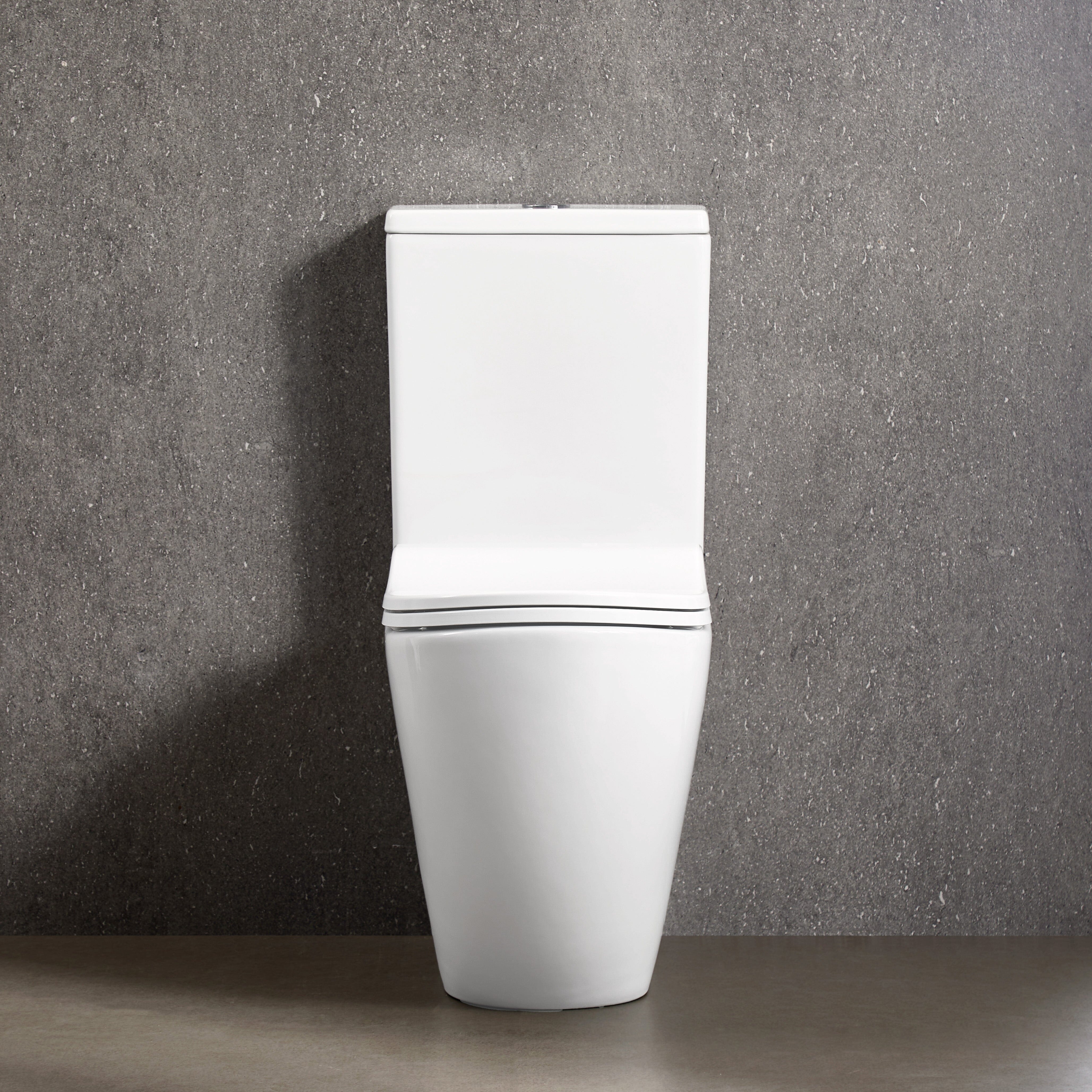 ErgoFlow Curve67 Rimless Tornado Back To Wall Toilet Toilets Arova