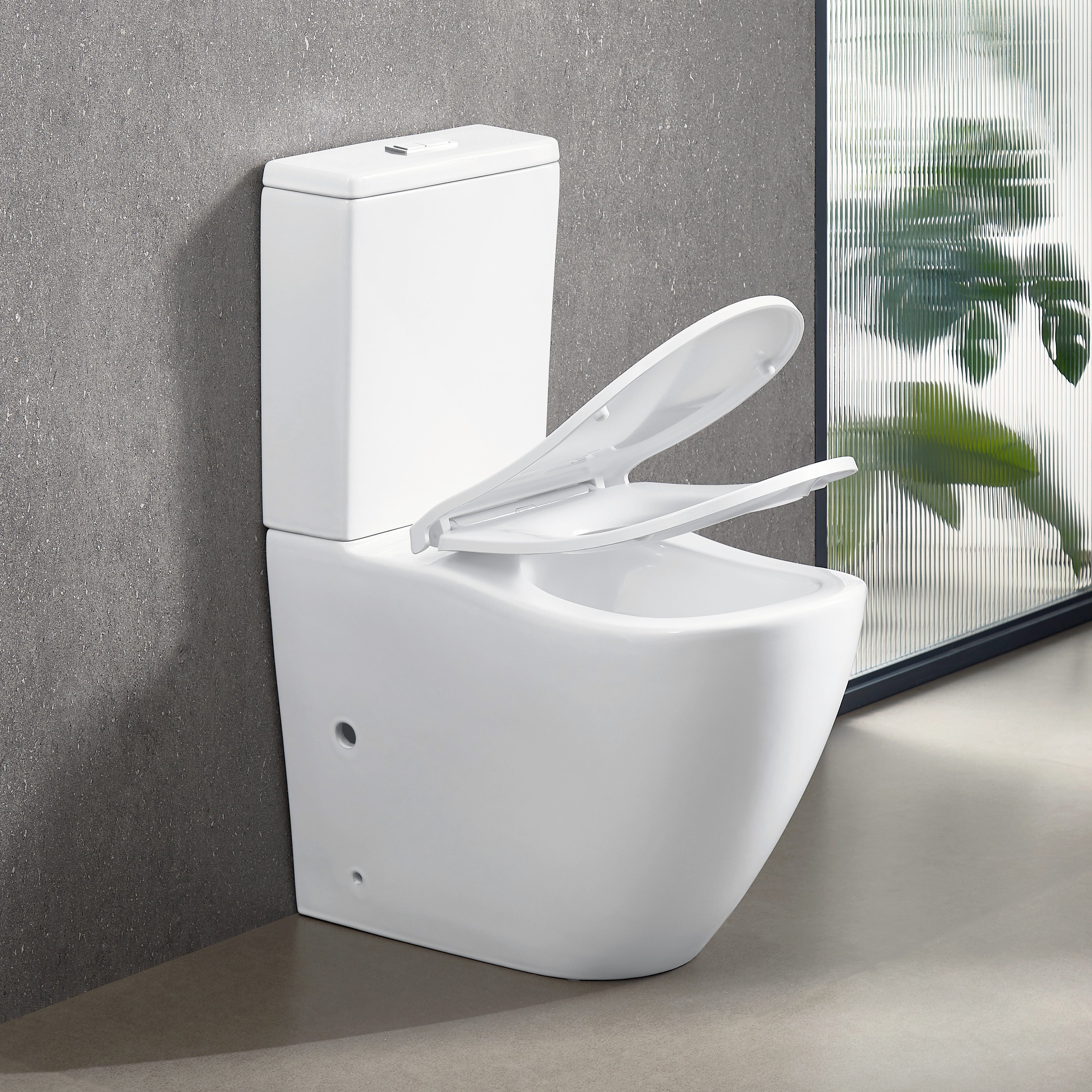 ErgoFlow Curve67 Rimless Tornado Back To Wall Toilet Toilets Arova