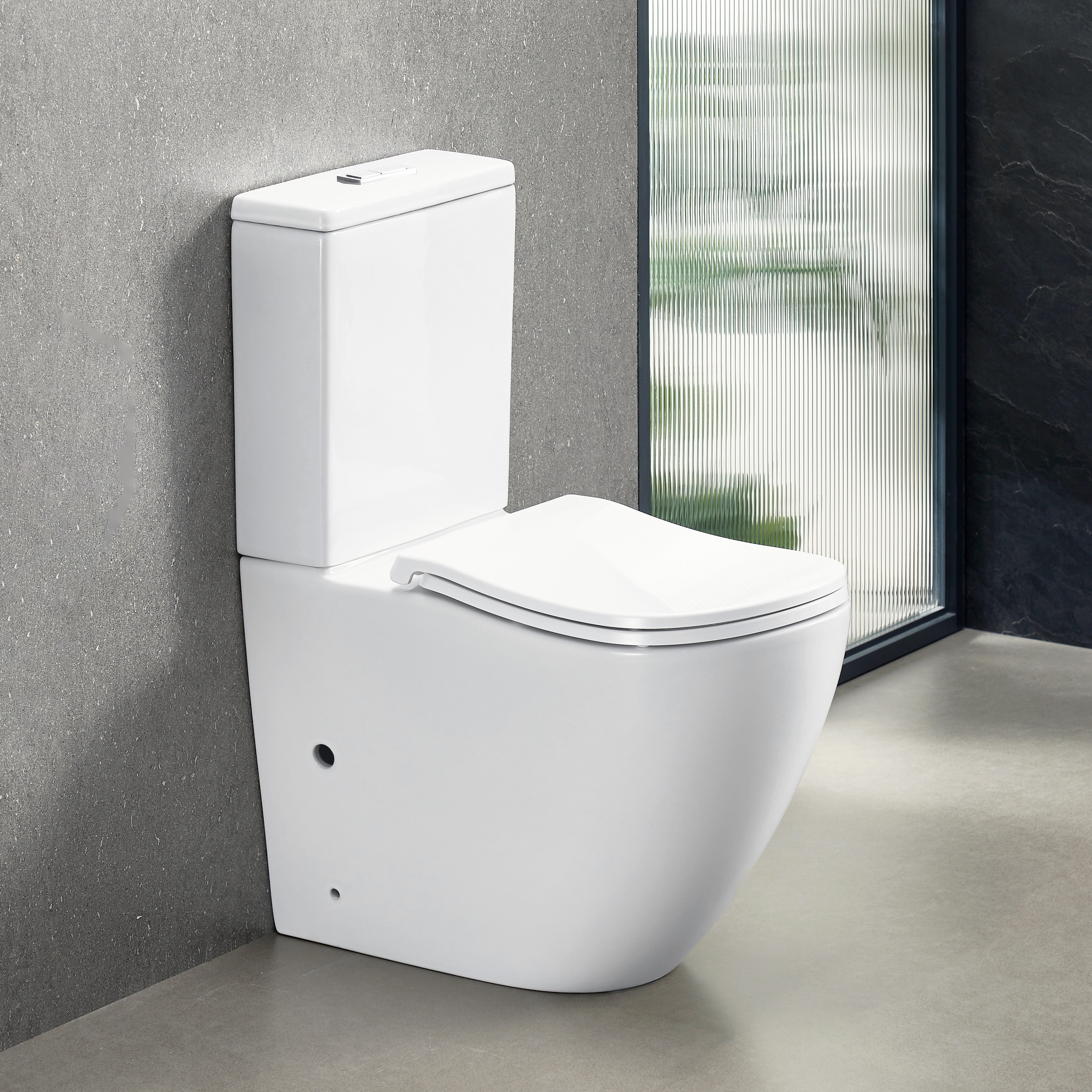 ErgoFlow Curve67 Rimless Tornado Back To Wall Toilet Toilets Arova
