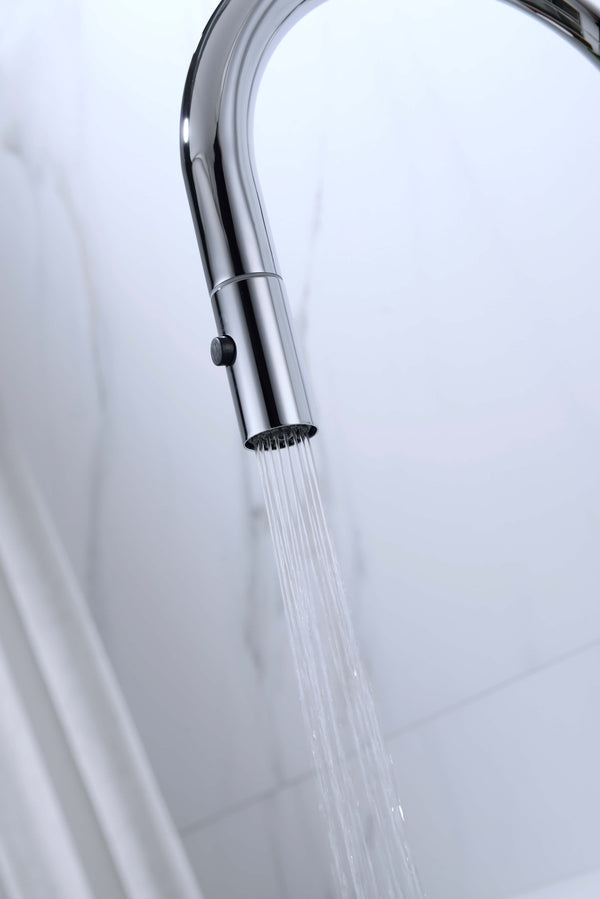 Dolce Pull Out Kitchen Mixer Tap with Veggie Spray Chrome Tapware Nero