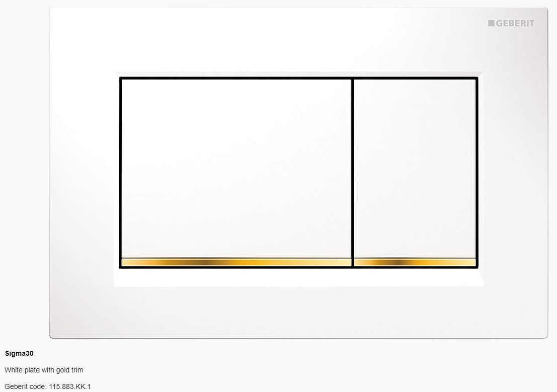 Geberit Sigma 30 Dual Flush Button & Plate - Tone in Tone / A touch of fun Toilets Geberit White plate with gold trim
