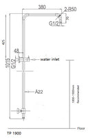 ROELEX Multifunction Brass Head on Rail with Hand Spray Brushed Brass Showers ECT