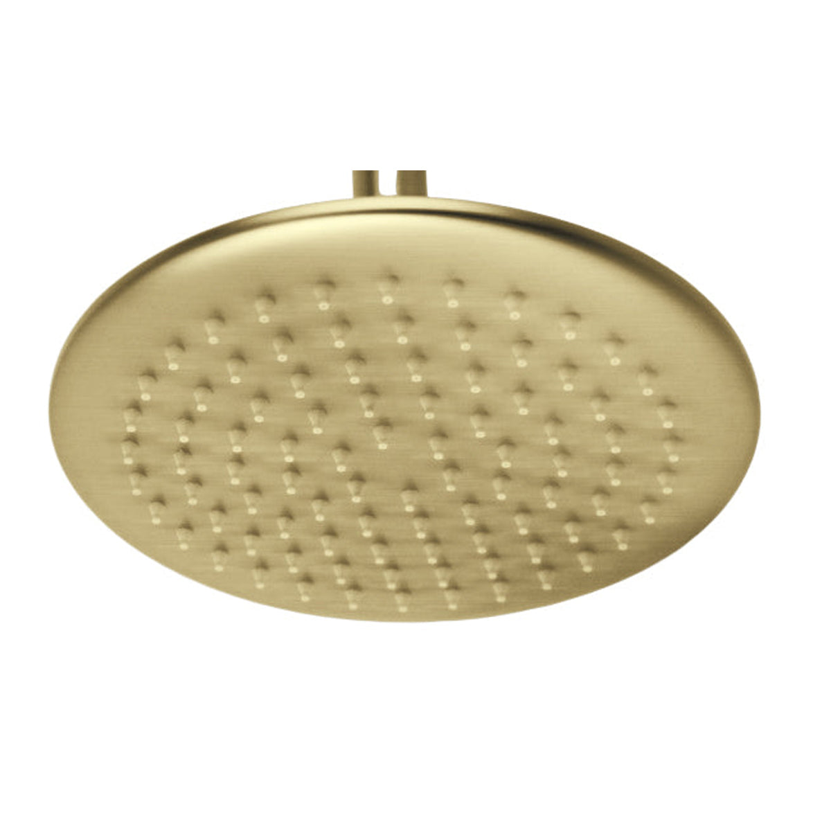 ROELEX Shower Head Brushed Brass Showers ECT