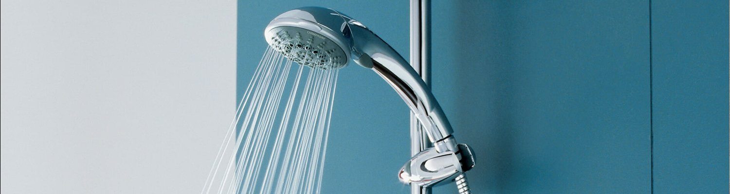 Hand Held Shower Head