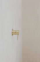 MECCA SHOWER MIXER 60MM PLATE BRUSHED GOLD (NR221911HBG) Tapware Nero 