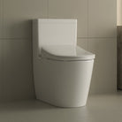 Smart Wash & Dry Heated Electric Bidet Toilet Seat with Remote Toilets Arova 