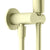 Opal Shower Bracket Brushed Gold YSW2519-05C-BG Showers Nero 